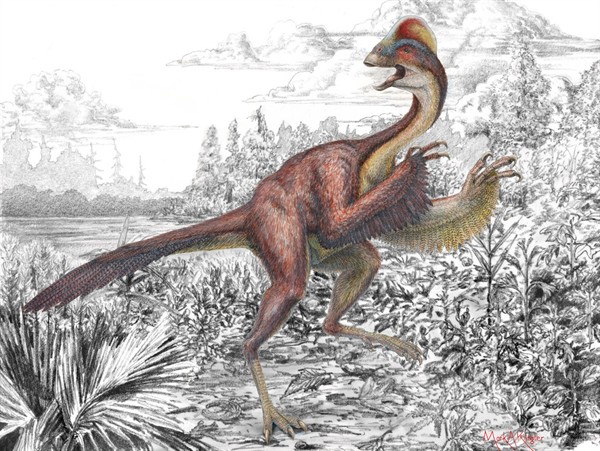 Dinosaur -chickenfromhell