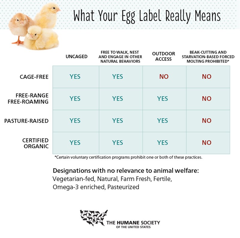 How -to -read -egg -label -full