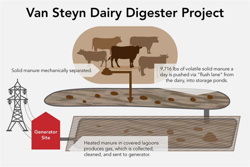 Van Steyn Dairy Digester Project Poster