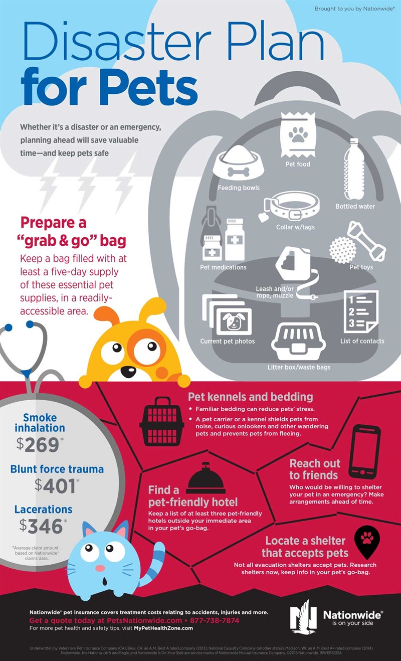 Pet -Disaster -Prep -Infographic -2016