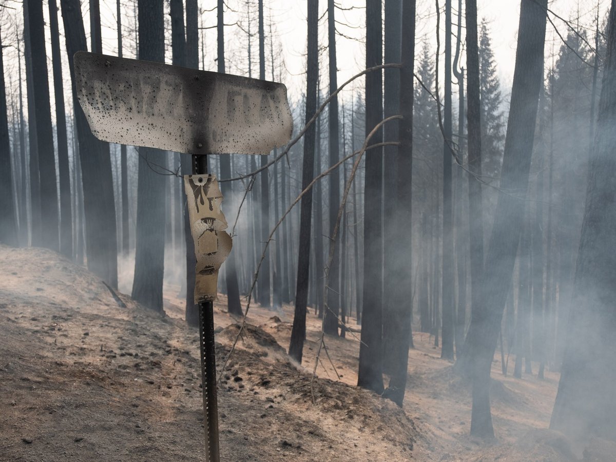 A burned sign greets travelers in Grizzly Flats, Calif. Tuesday, August 17, 2021.