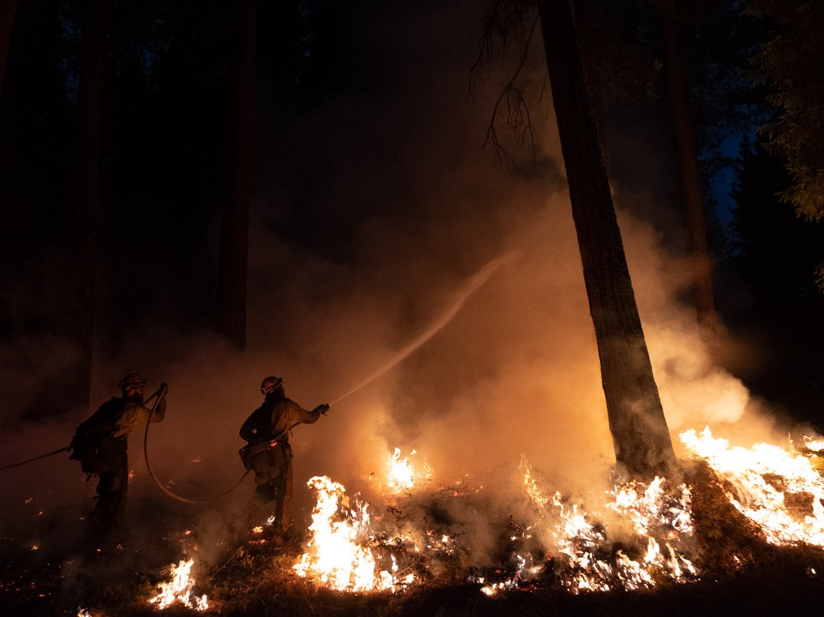 Fire crews manage a back fire in Sly Park, Calif., fighting the Caldor Fire on Monday, Aug, 23, 2021.