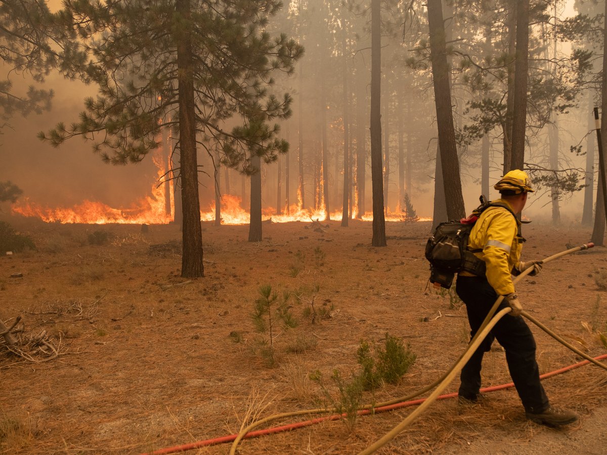 Fire crews fight the Caldor Fire just south of Meyers, Calif. on Tuesday, Aug. 31, 2021.
