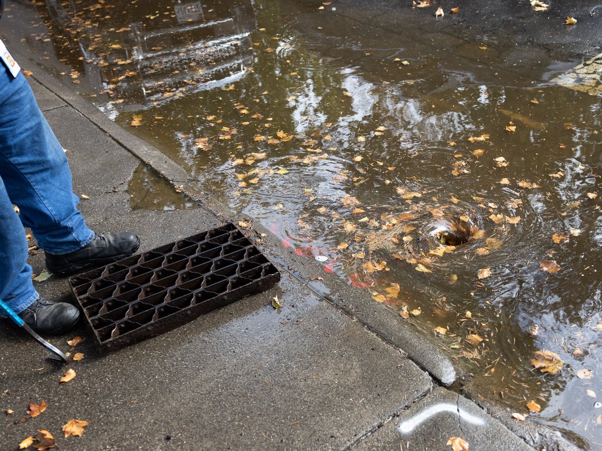 A city employee unclogs a storm drain in Land Park Thursday, Oct. 21, 2021.