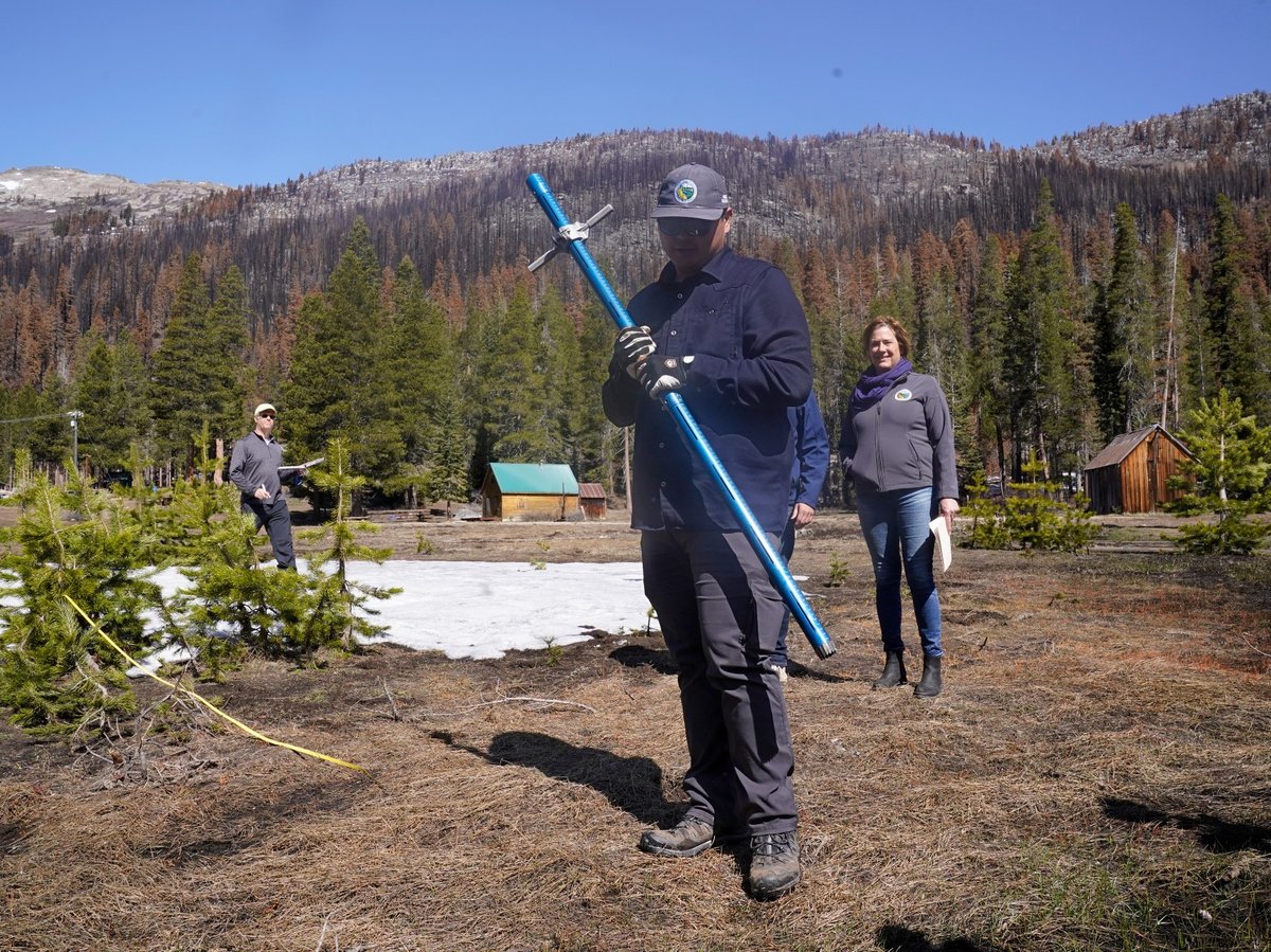 Sean de Guzman with the California Department of Water Resources looks at ground where there would normally be snow to measure as he conducts a snow survey  at Phillips Station near Echo Summit, Calif., on Friday, April 1, 2022.