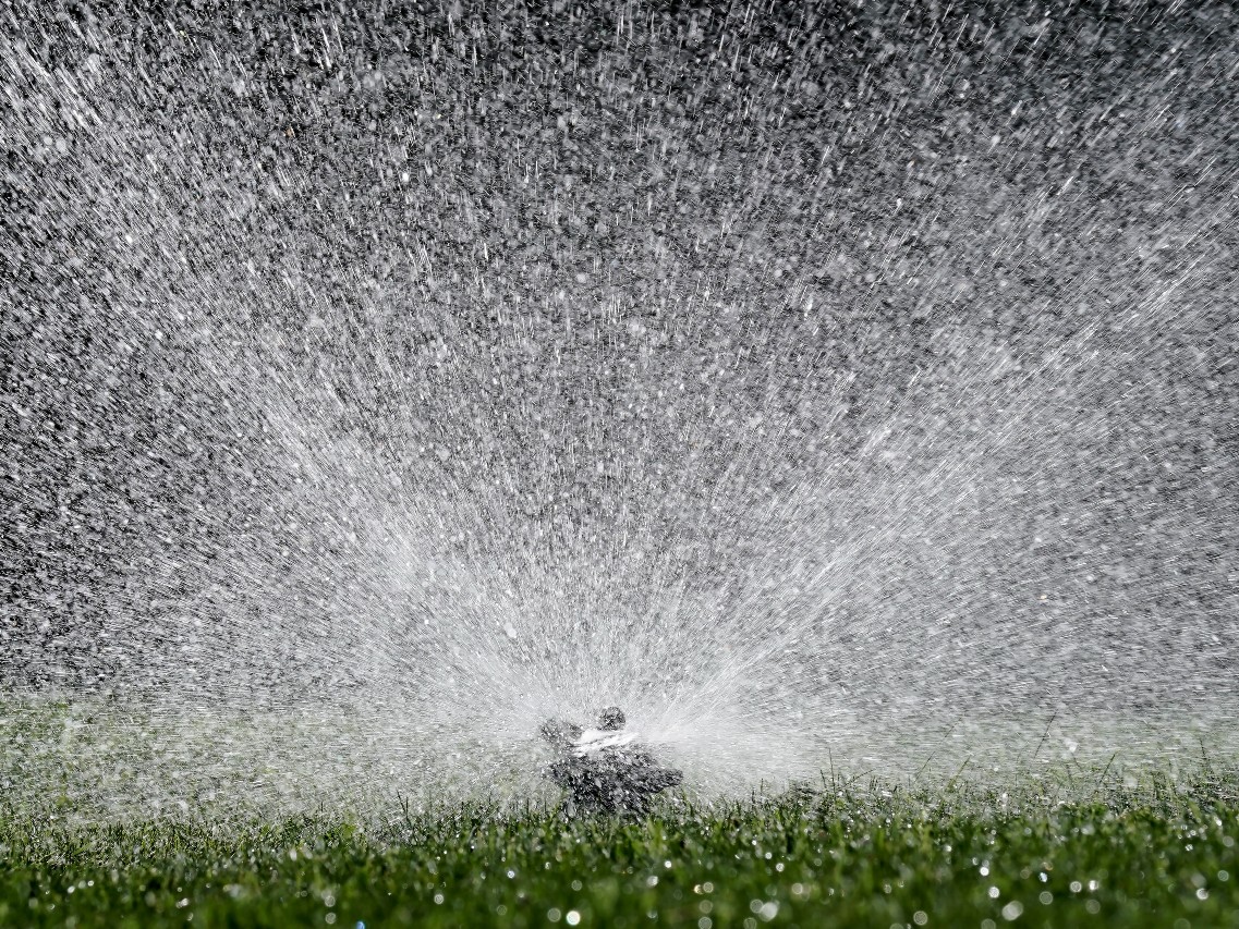 Water flies from a sprinkler watering a lawn, in Sacramento, Calif., Tuesday, May 10, 2022. California's water usage jumped nearly 19% in March during one of the driest months on record, state officials announced, Tuesday, May 10, 2022.