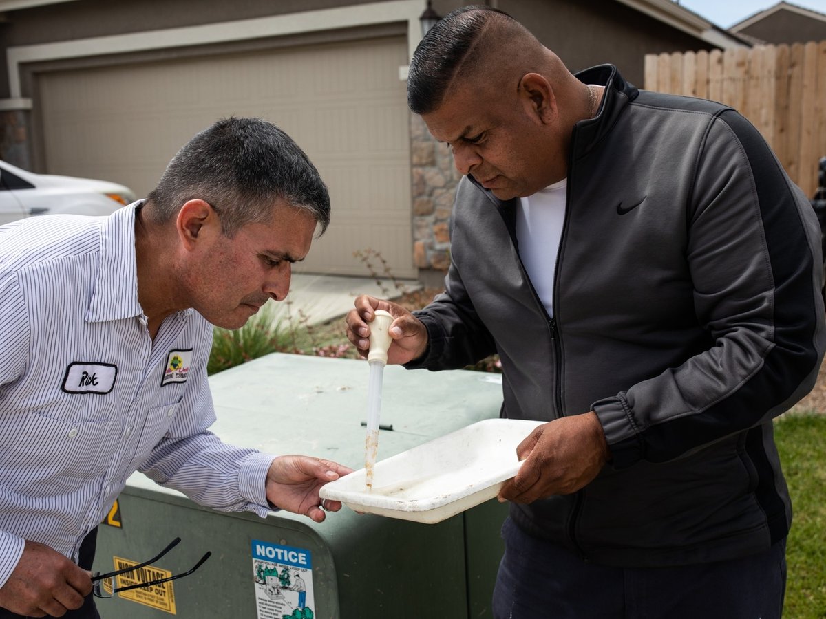 Bryan Ruiz, right, and Rick Alvarez search for signs of Aedes aegypti larvae in water sampled from a drain pipe in Ruiz’s front yard.