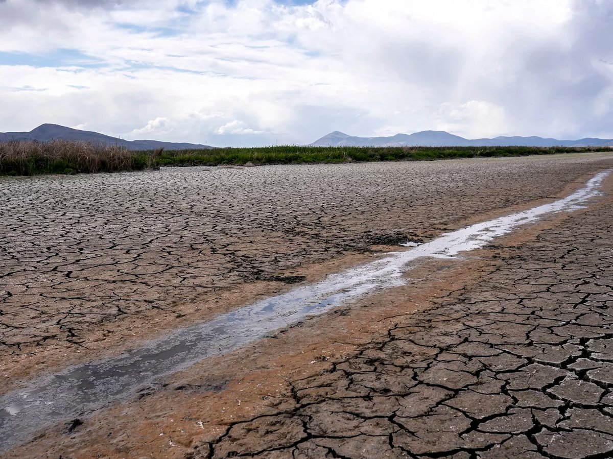 A small stream runs through the dried, cracked earth of a former wetland near Tulelake, Calif., on June 9, 2021.