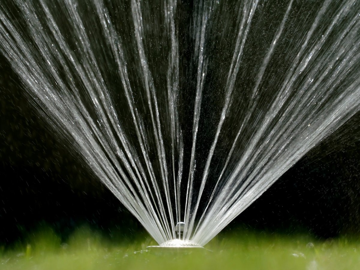 Water flies from a sprinkler on a lawn.