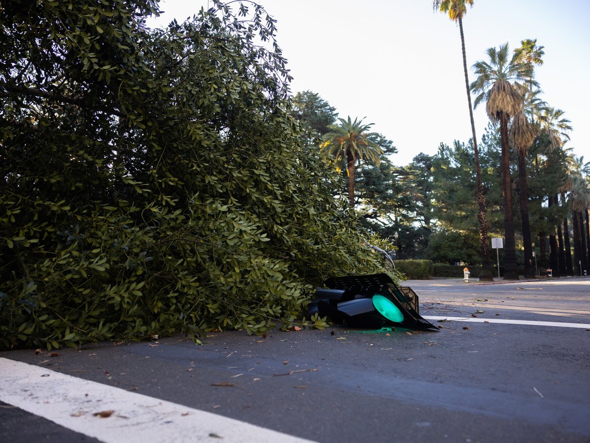 A traffic light taken under a fallen tree on the corner of 10th Street and L Street in Sacramento, Calif. on New Year's Day Morning, 2023.