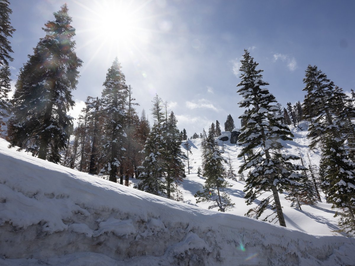 Highway 50 near Echo Summit, Friday, March 24, 2023.
