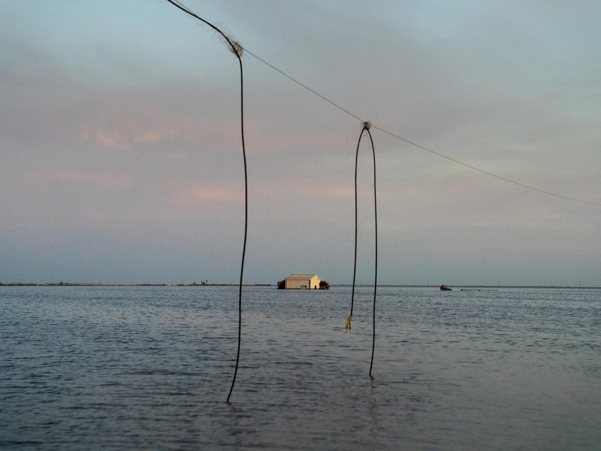 In California's Central Valley, a long-disappeared lake has been resurrected. A power line dangles precariously over the edge of the water now filling the Tulare Lake Basin, and a building on the horizon is caught in the middle of the flood.