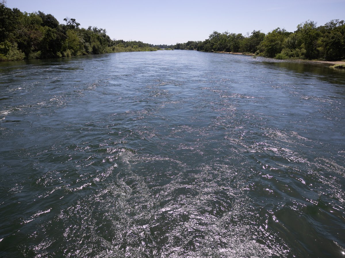 The view of the American River from Sunrise Recreation Area Wednesday, May 17, 2023.