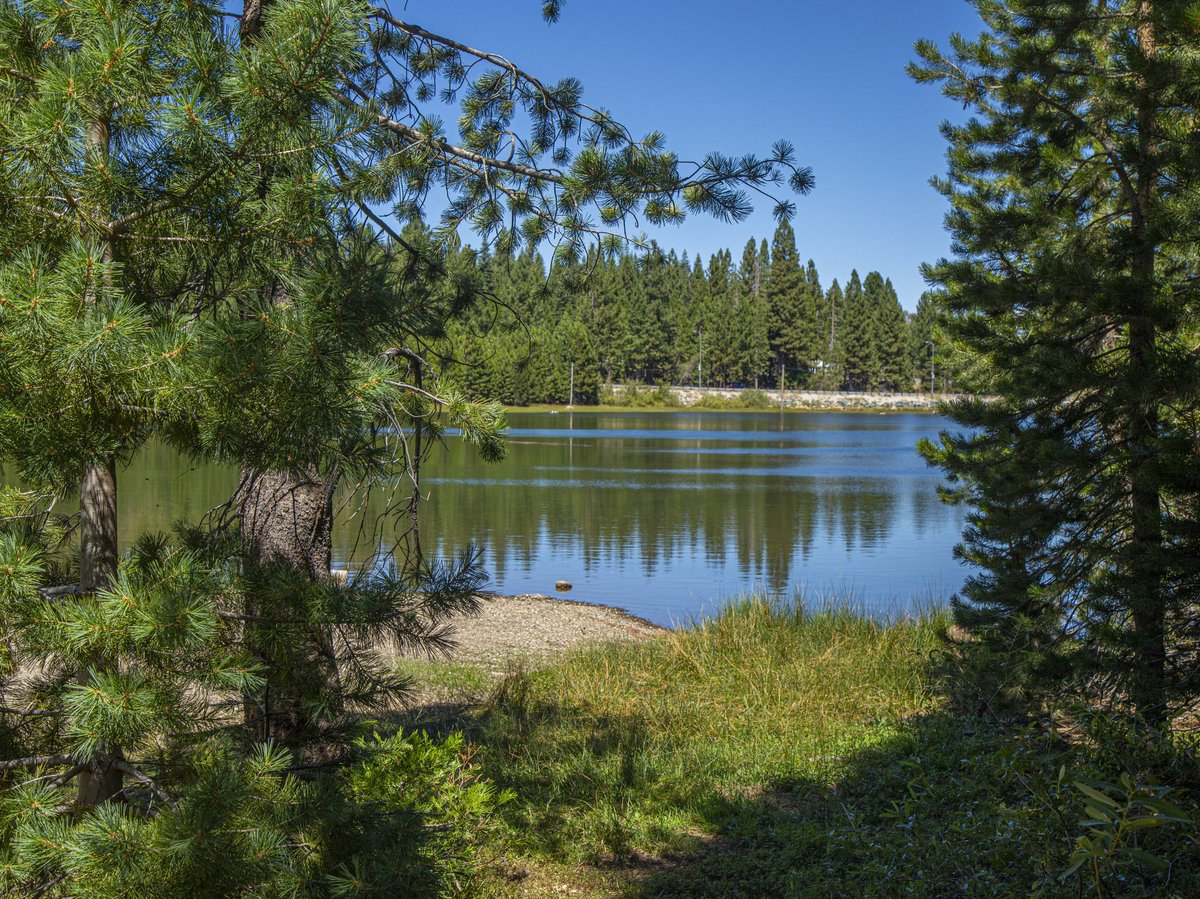 A lake on the 650 acres of Placer County land acquired by The 40 Acre Conservation League, California's first Black-led land conservancy group.