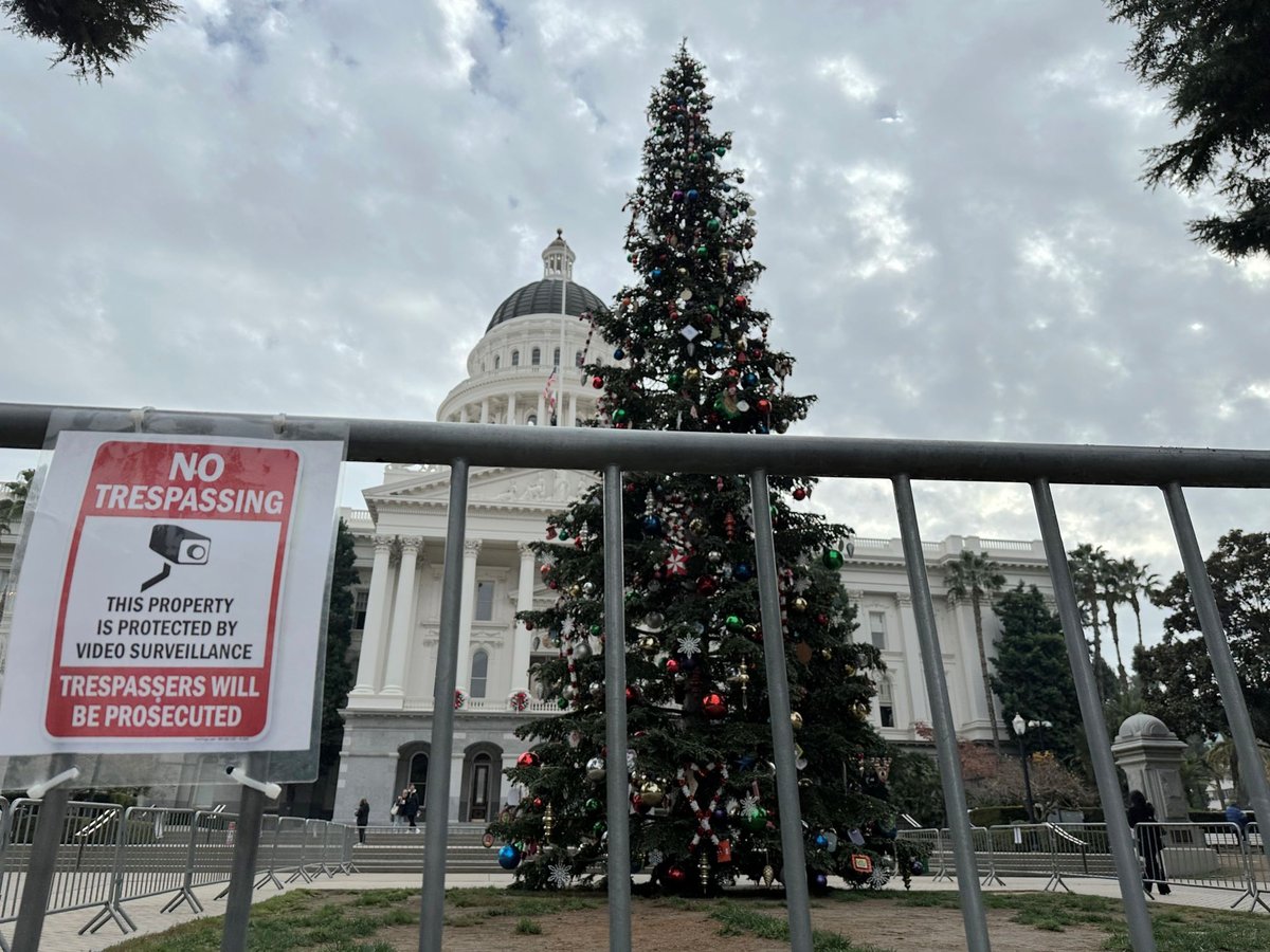 A Christmas tree stands in front of the west steps of the California Capitol on Wednesday, Dec. 6, 2023, in Sacramento, Calif.
