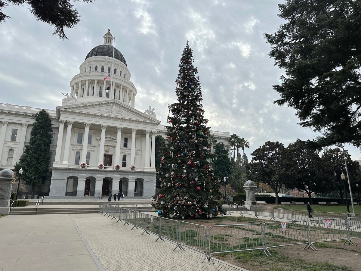 A Christmas tree stands in front of the west steps of the California Capitol on Wednesday, Dec. 6, 2023, in Sacramento, Calif.