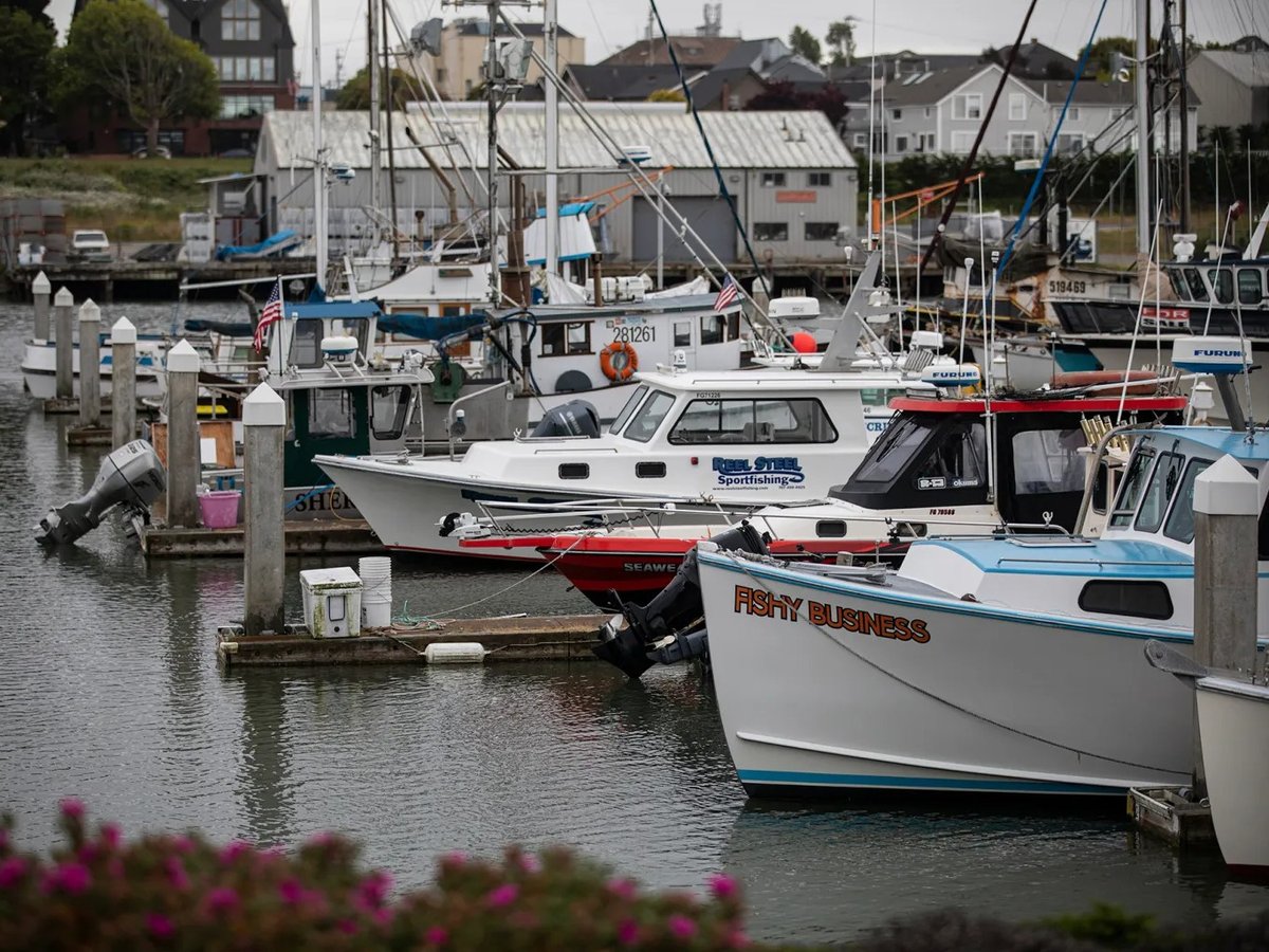 Fishing boats docked at the marina at Humboldt Bay in Eureka on June 6, 2023.