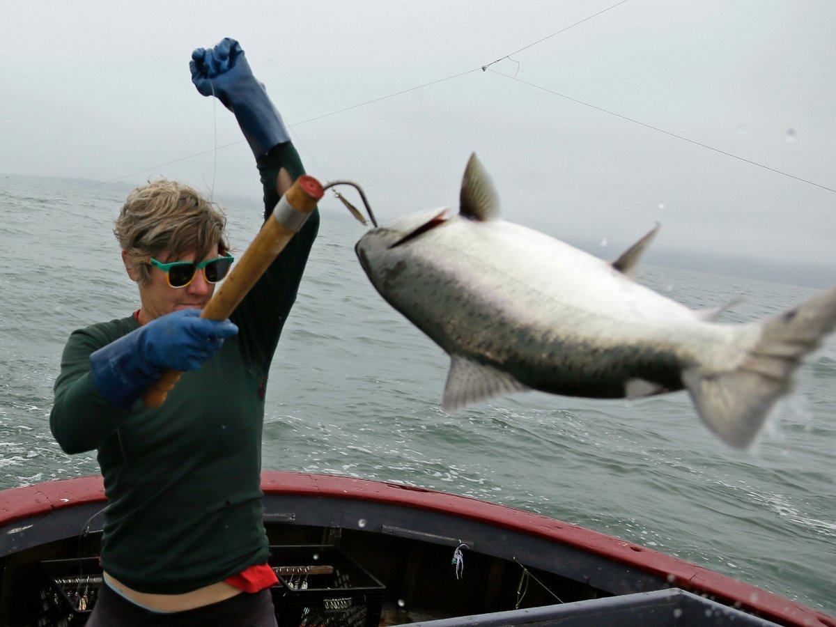 Sarah Bates hauls in a chinook salmon on the fishing boat Bounty near Bolinas, Calif., Wednesday, July 17, 2019.