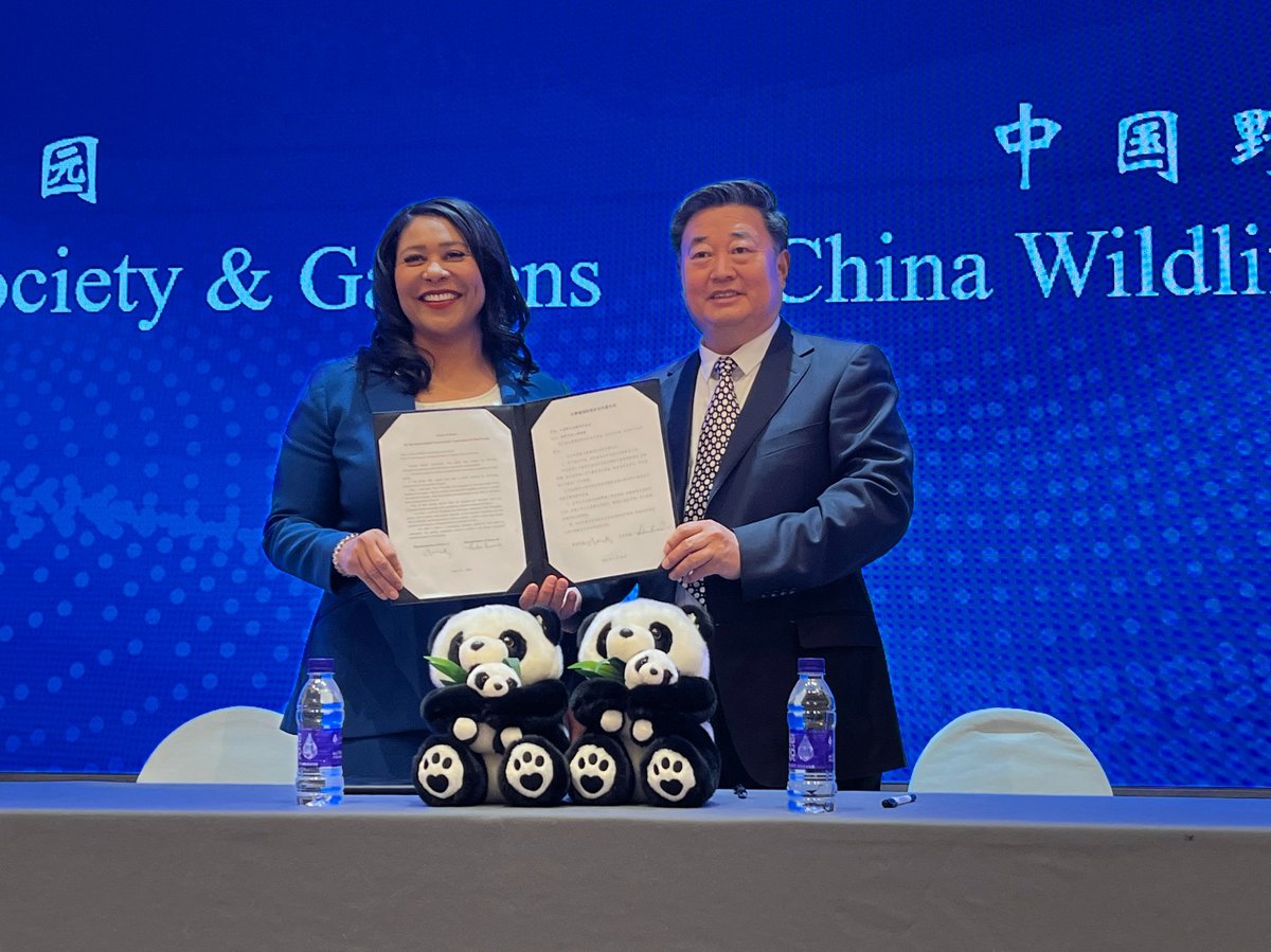 London Breed, left, Mayor of San Francisco and Wu Minglu, Secretary General of China Wildlife Conservation Association hold up an agreement to lease pandas to San Francisco at an event in Beijing on Friday, April 19, 2024