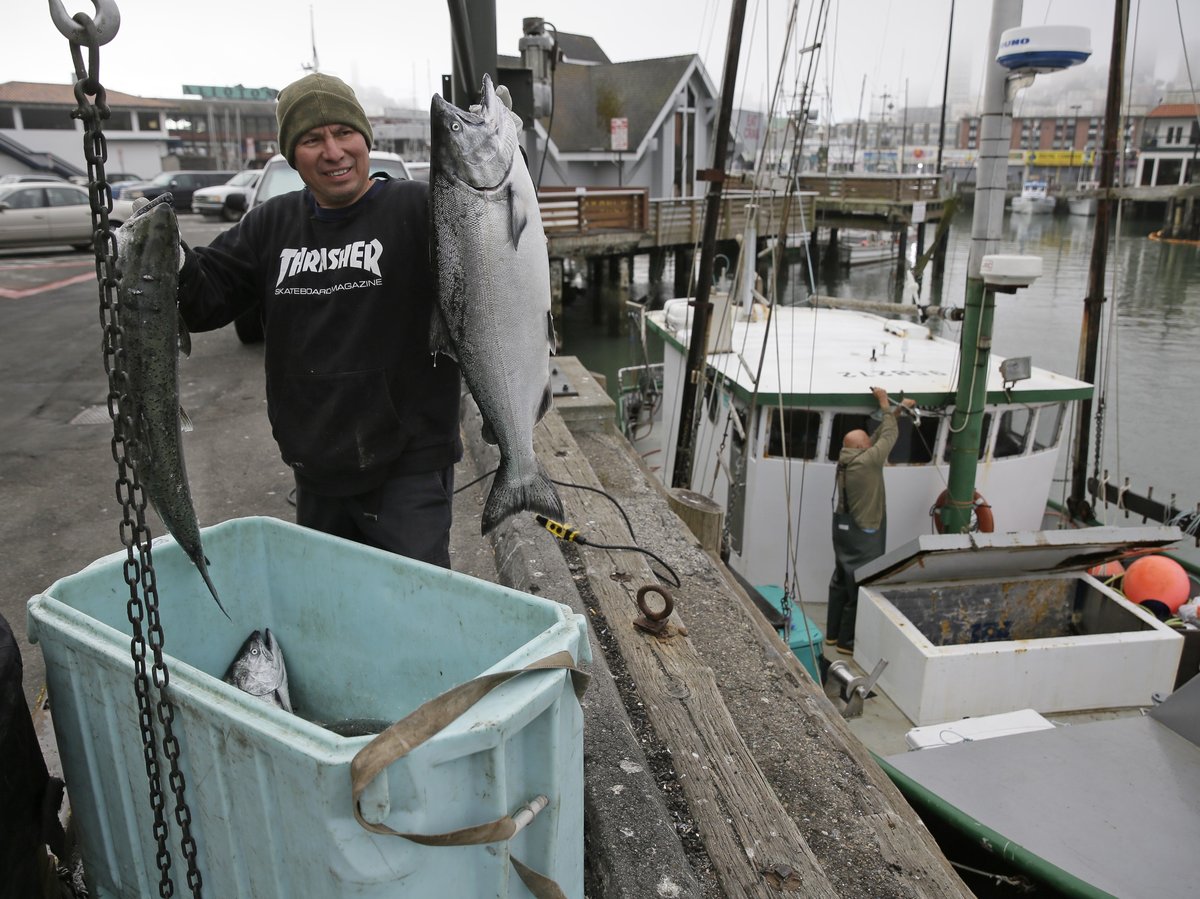 In this photo taken Monday, July 22, 2019, Ivan Montoya, left, of Flannery Seafood, holds up chinook salmon after it was brought in by Ron Kemp, right, at Fisherman's Wharf in San Francisco.