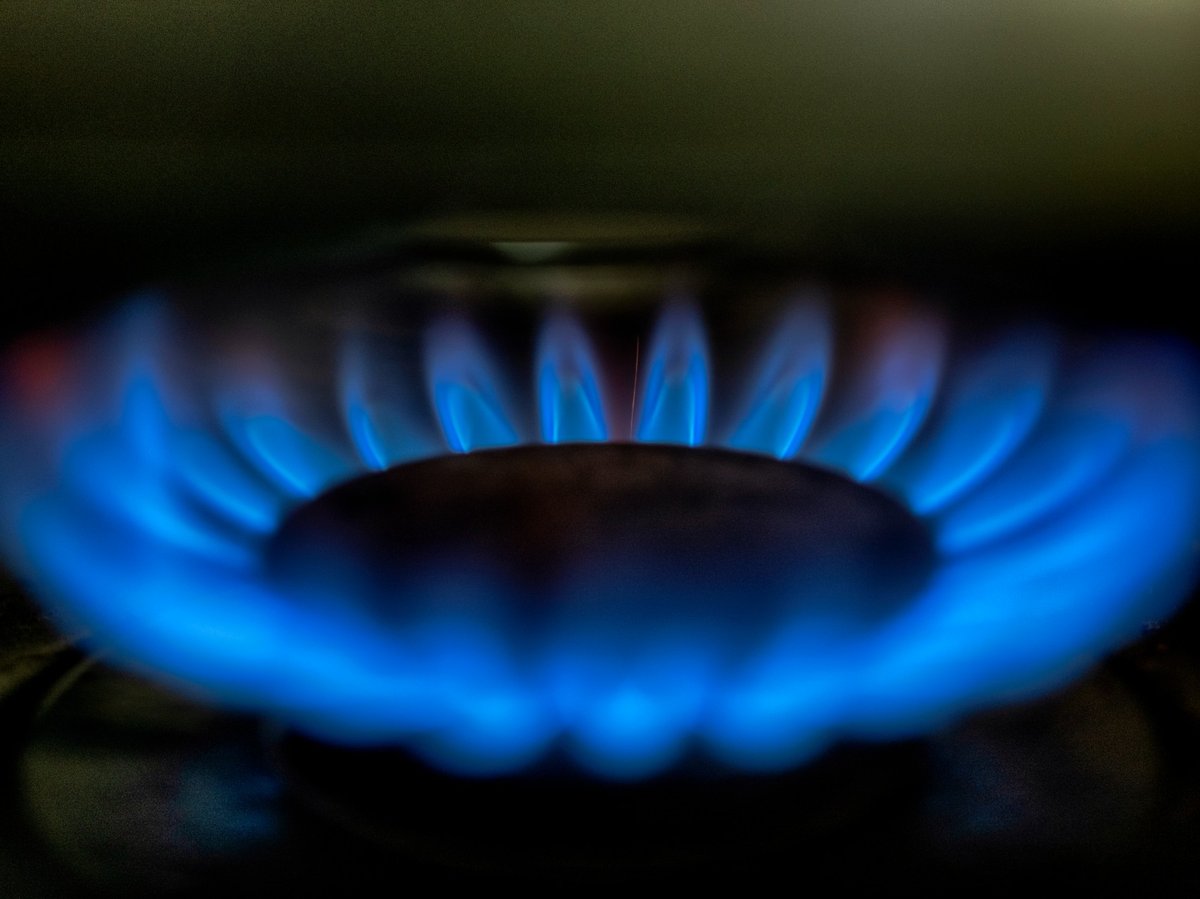 A gas-lit flame burns on a natural gas stove, March 26, 2024, in Los Angeles.