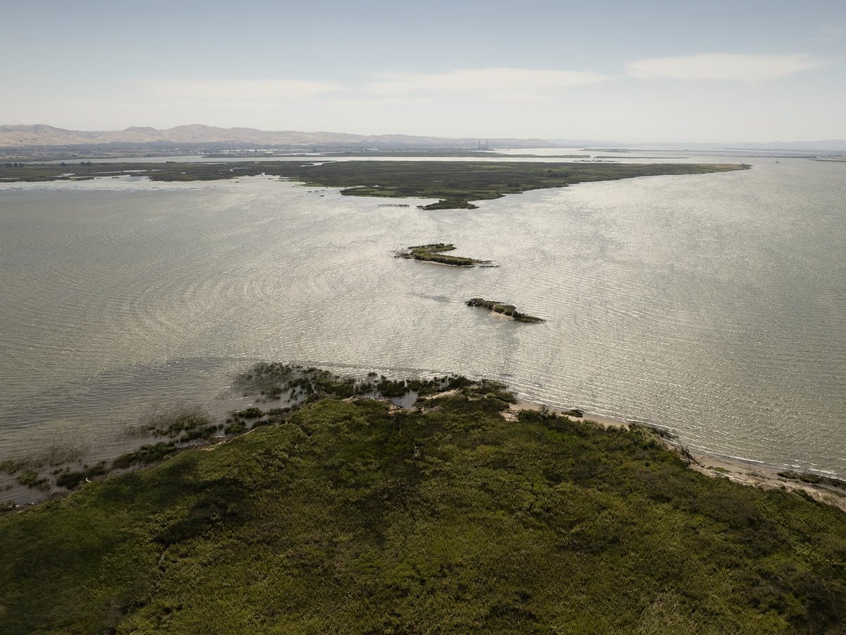 Building a controversial tunnel on the Sacramento-San Joaquin Delta, shown here on June 22, 2023, would cost $20 billion.