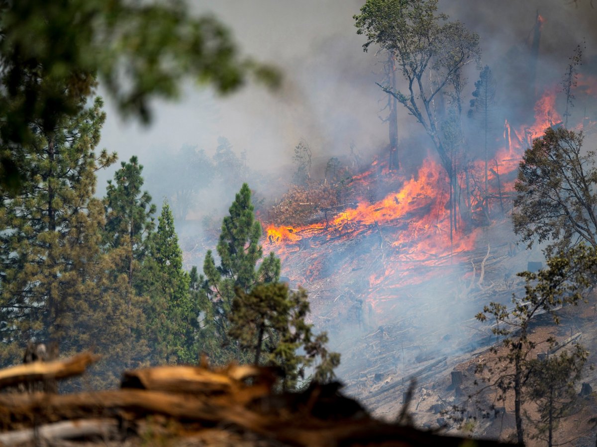 The Park Fire burns along Highway 32 near Forest Ranch, Calif., Sunday, July 28, 2024.