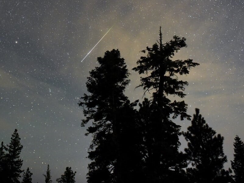 A Perseid meteor streaks across the sky above desert pine trees on Aug. 13, 2015, in the Spring Mountains National Recreation Area in Nevada.