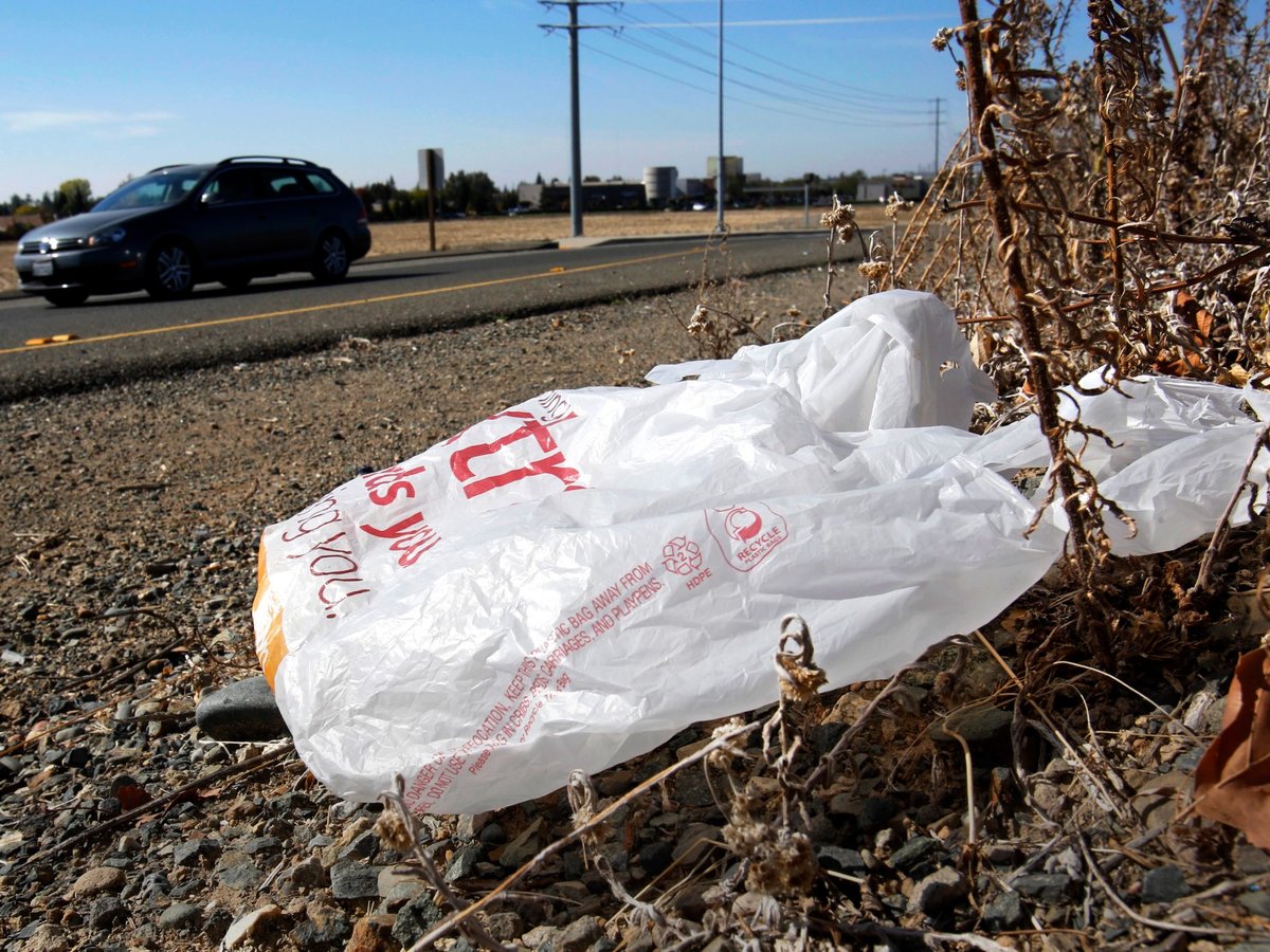 A plastic bag sits along a roadside in Sacramento, Calif., Oct. 25, 2013.