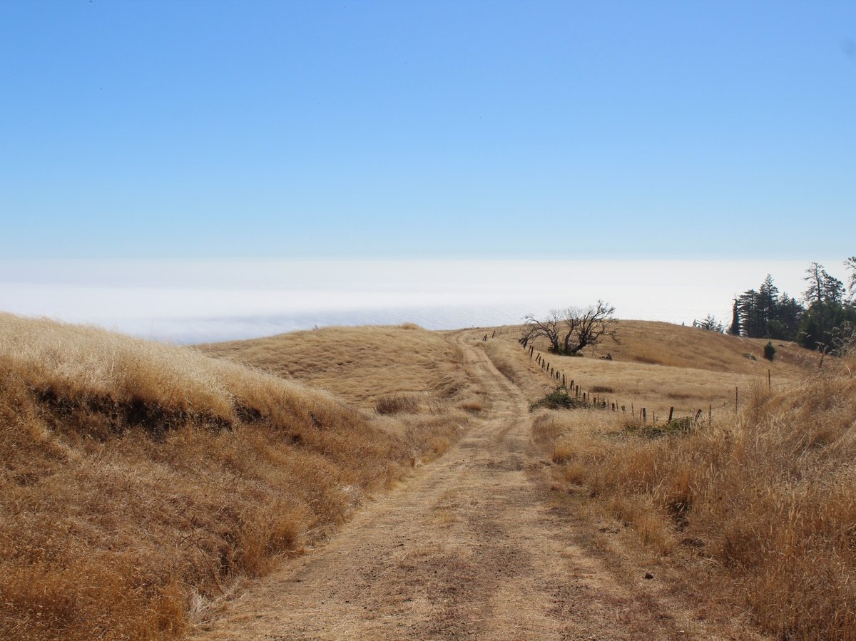 This 1,624-acre parcel of land along the Sonoma County coast is primarily made up of redwood forests and grasslands.