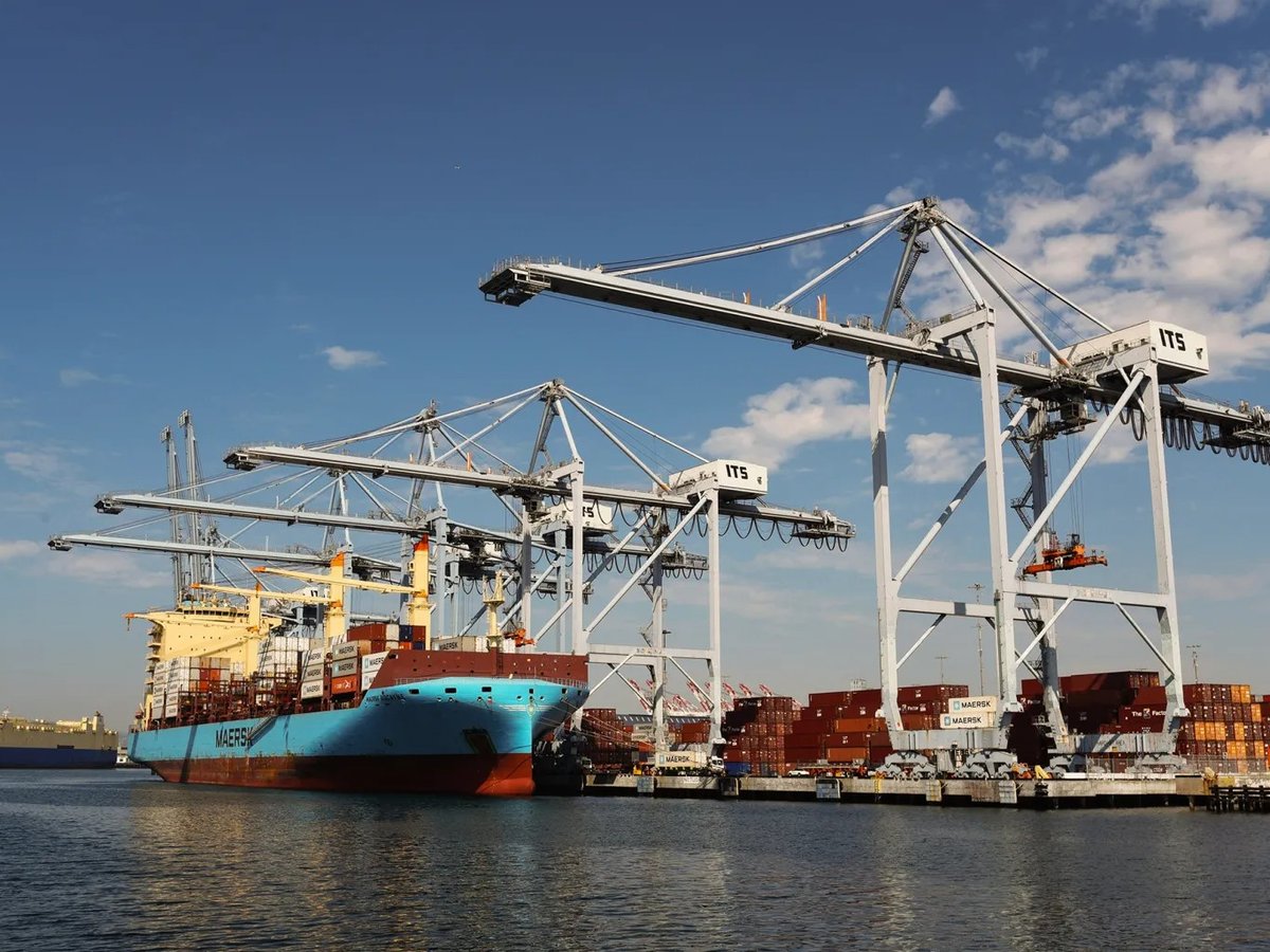 Container ships are unloaded at The Port of Los Angeles on Sept. 7, 2024. The Port of Los Angeles and San Pedro are the biggest ports in the United States and are the 9th biggest ports in the world.