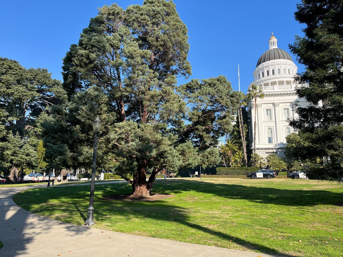 California's state Capitol in Sacramento appears on Friday, Dec. 6, 2024.