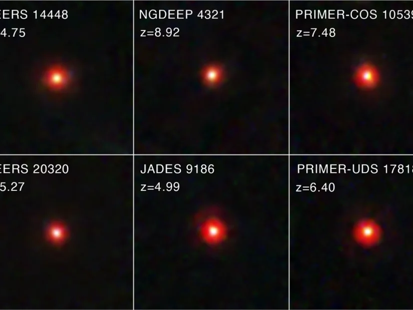 A team of astronomers sifted through James Webb Space Telescope data to compile one of the largest samples of "little red dots."