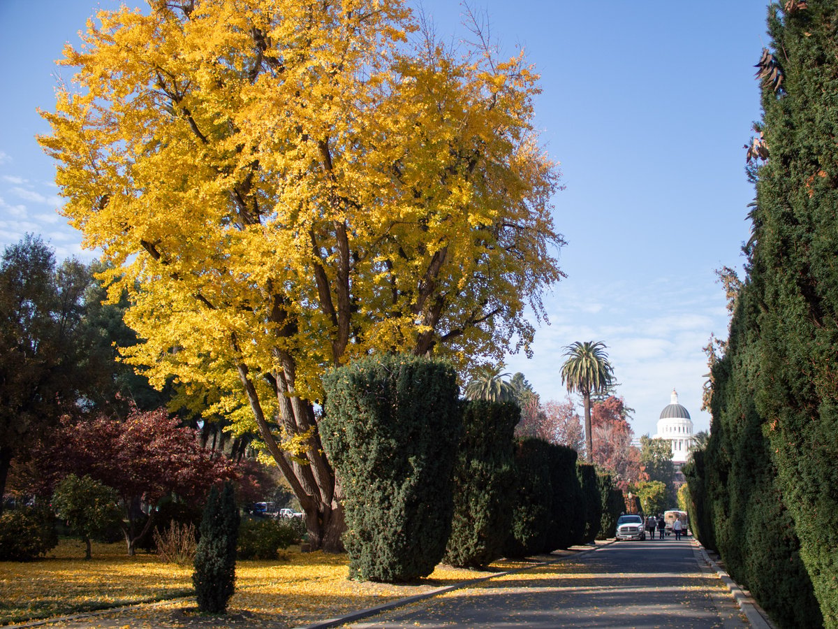 Capitol Park Monday, Dec. 2, 2024, in Sacramento.