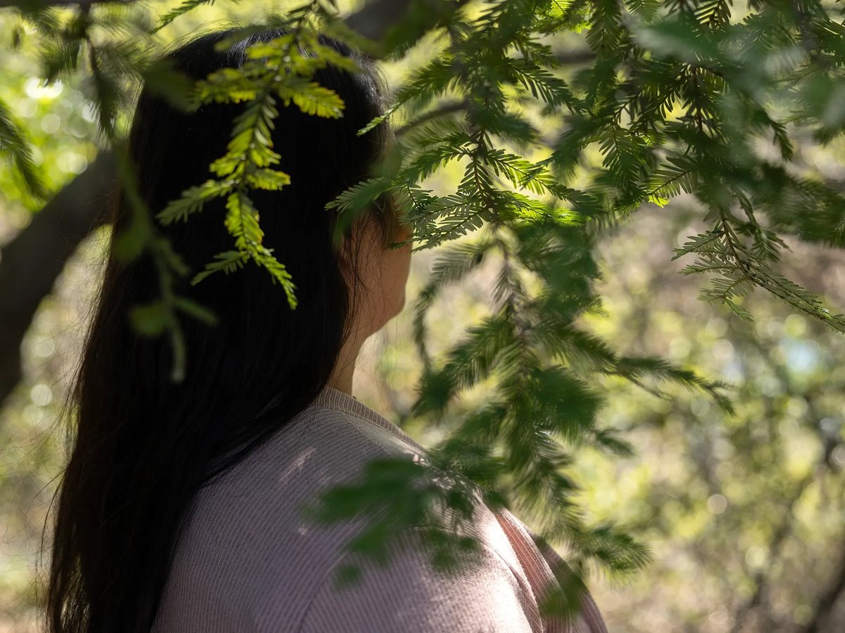 Susanna, who asked that her last name be withheld, recently called the Sacramento Sheriff's Office for help because her daughter was in the throes of a mental health crisis.
