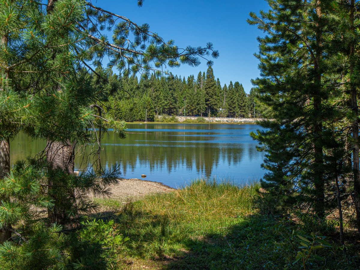 Lake Putt, located on the land maintained by 40 Acre Conservation League.