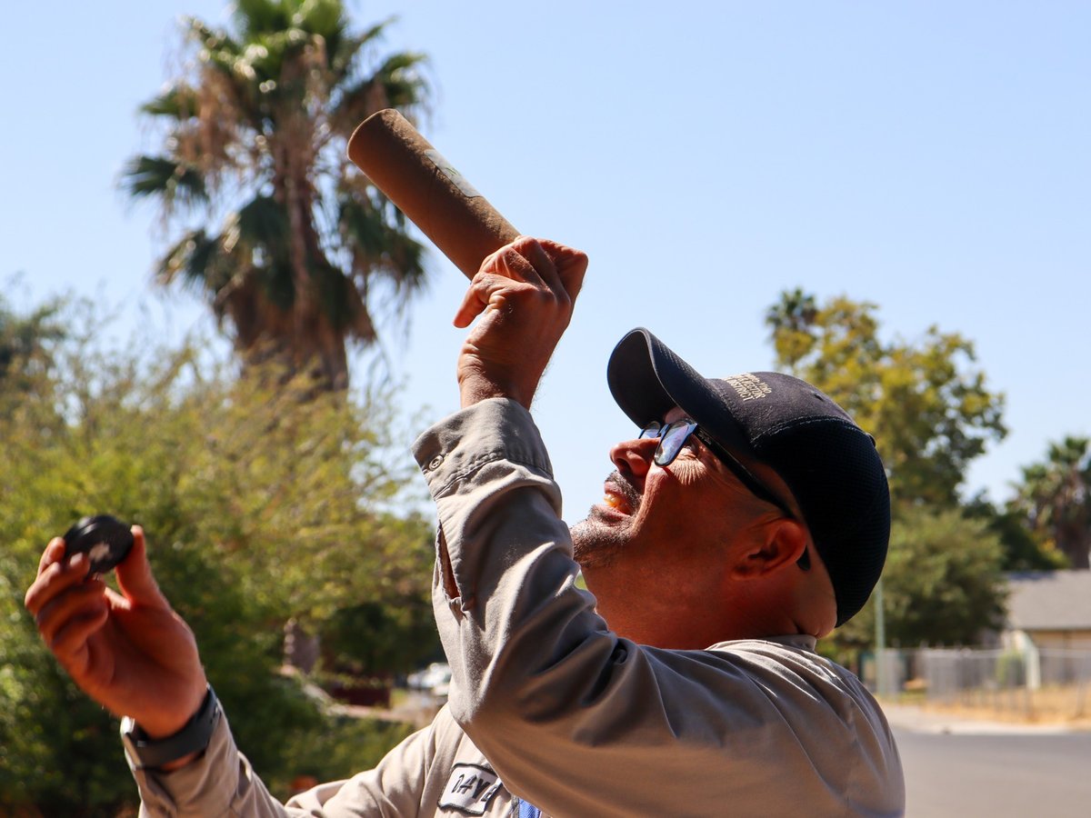 A technician with the Sacramento Yolo Mosquito & Vector Control District shakes out sterile male mosquitoes during a neighborhood release on Thursday, Aug. 28, 2025, in Natomas.