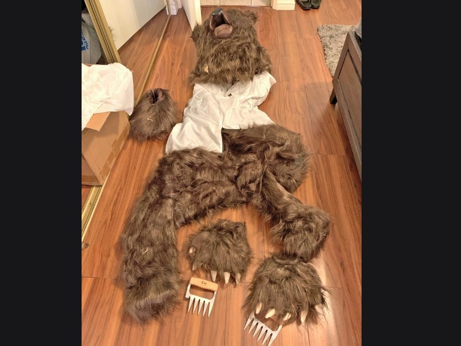 FILE - This photo provided by the California Department of Insurance shows a bear costume allegedly worn by suspects with the aim to commit insurance fraud.
