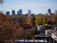 Trees over Midtown Sacramento.