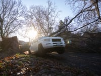A pickup is pinned under a fallen tree on Second Ave. in Sacramento, Calif., on New Year's Day morning, 2023.