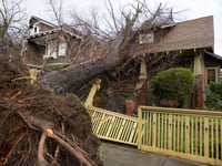 Two trees strike two houses next door to each other in Sacramento, Calf., Sunday, Jan. 8, 2023.