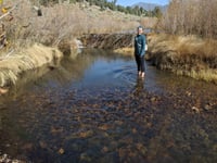 California State University Channel Islands ecohydrologist Emily Fairfax stands at a beaver dam.