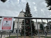 A Christmas tree stands in front of the west steps of the California Capitol on Wednesday, Dec. 6, 2023, in Sacramento, Calif.