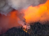 Embers spark a spot fire as the Park Fire burns below Highway 32 near Lomo in Butte County, Calif., Friday, July 26, 2024.