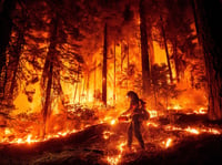 A firefighter uses a drip torch to burn vegetation while trying to stop the Park Fire from near Mill Creek in Tehama County, Calif., on Wednesday, Aug. 7, 2024.