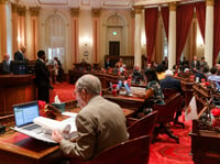 Members of the State Senate attend a meeting of the California legislature on Monday, Aug. 5, 2024, in Sacramento, Calif.