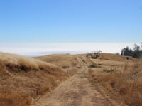 This 1,624-acre parcel of land along the Sonoma County coast is primarily made up of redwood forests and grasslands.