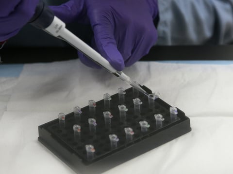 In this Feb. 17, 2012, file photo, senior criminalist Michelle Halsing works on mitochondrial DNA testing at the State of California Department of Justice Jan Bashinski DNA Laboratory in Richmond, Calif. 
