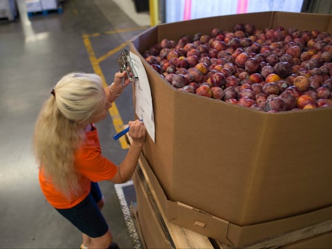 Volunteer Lori Knott records the weight of a pallet of produce at the Sacramento Food Bank and Family Services.