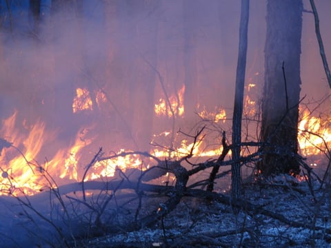 Winter is peak time for prescribed burns, deliberately set fires designed to eliminate leaves and other flammable material that could fuel a larger forest fire. But the partial government shutdown is interfering with this and other preparations.